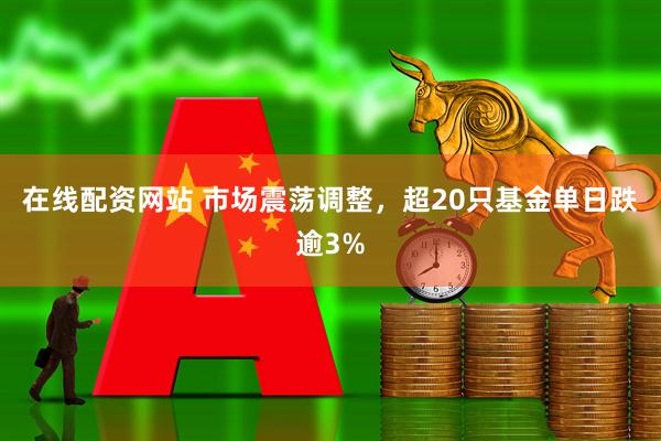 在线配资网站 市场震荡调整，超20只基金单日跌逾3%